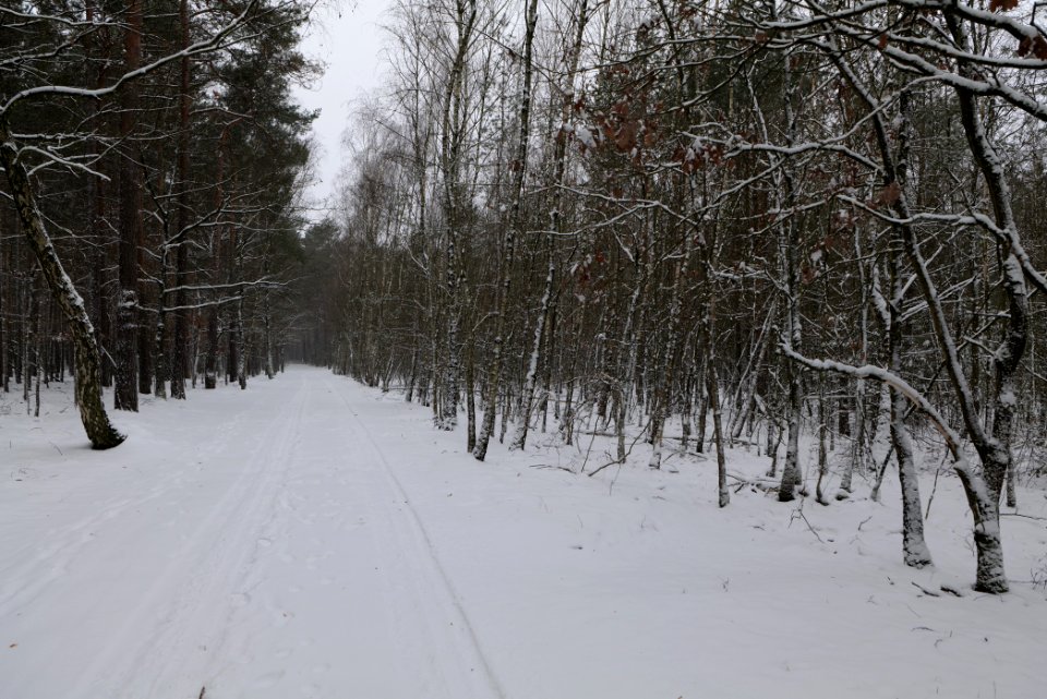 Alte Dorfstelle Ferch with snow 2021-02-07 17