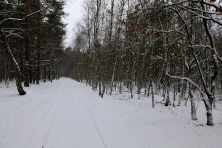 Alte Dorfstelle Ferch with snow 2021-02-07 17