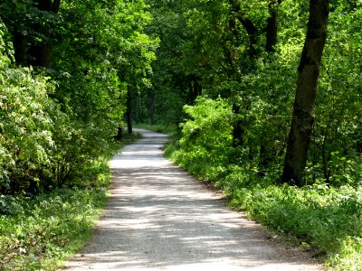 Alte Spandauer Poststraße Grunewald 2019-07-01 04