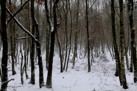 Alte Dorfstelle Ferch with snow 2021-02-07 06