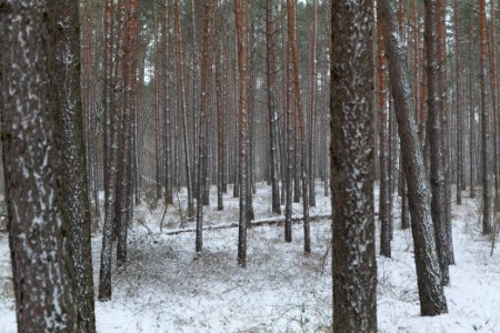 Alte Dorfstelle Ferch with snow 2021-02-07 03