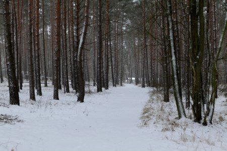 Alte Dorfstelle Ferch with snow 2021-02-07 04