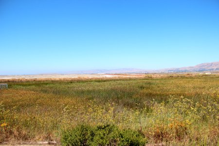 Alviso Marina County Park Aug 2019 1