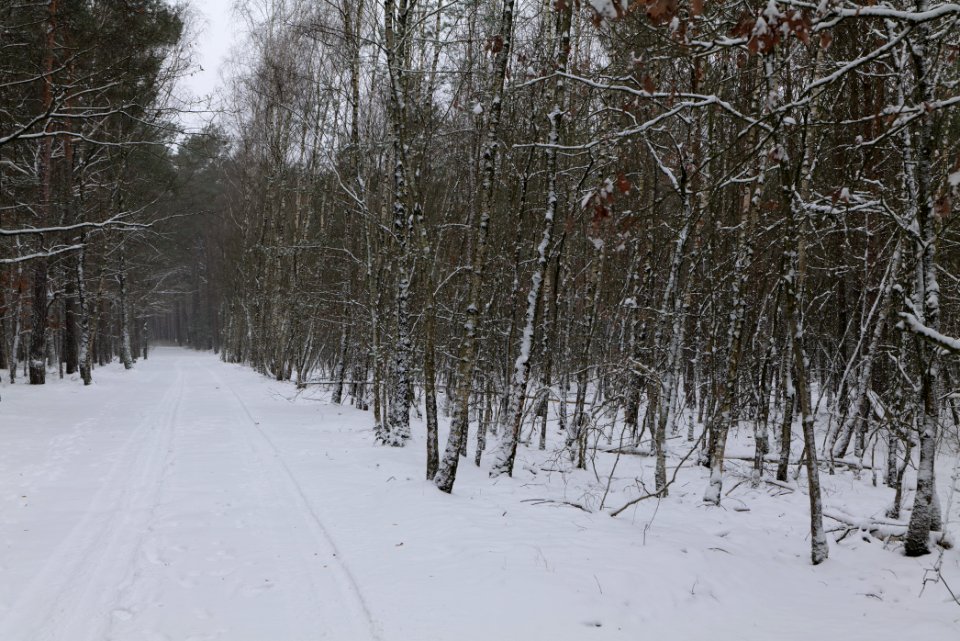 Alte Dorfstelle Ferch with snow 2021-02-07 18