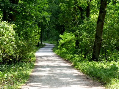 Alte Spandauer Poststraße Grunewald 2019-07-01 05