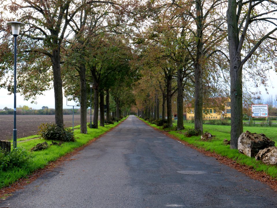 Alte Bahnhofstraße Großbeeren on 2019-11-05 09