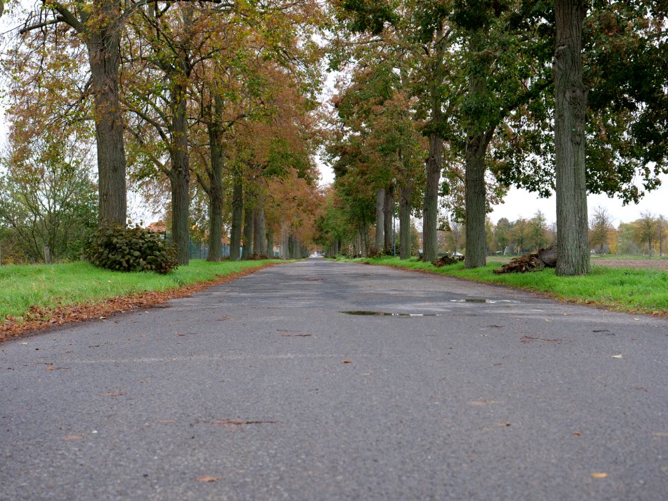 Alte Bahnhofstraße Großbeeren on 2019-11-05 07