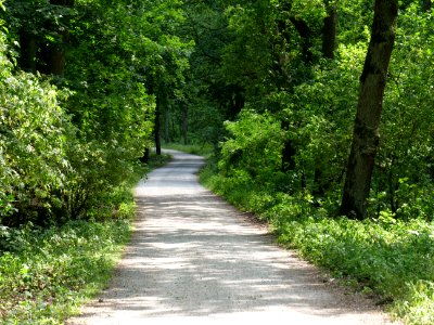 Alte Spandauer Poststraße Grunewald 2019-07-01 06