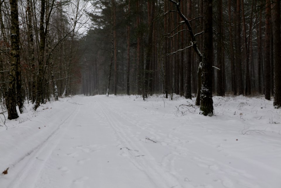 Alte Dorfstelle Ferch with snow 2021-02-07 08