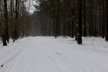 Alte Dorfstelle Ferch with snow 2021-02-07 08