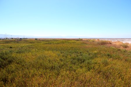 Alviso Marina County Park CA Aug 2019 2