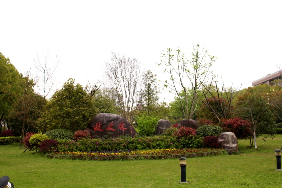 Alumni Forest, Lishui University