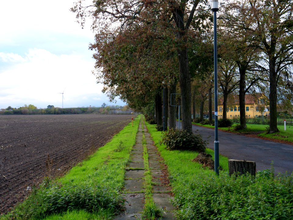 Alte Bahnhofstraße Großbeeren on 2019-11-05 12