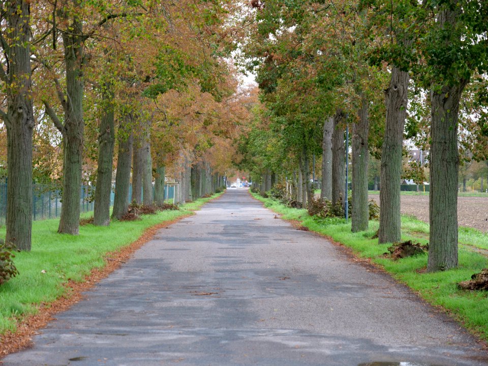 Alte Bahnhofstraße Großbeeren on 2019-11-05 03