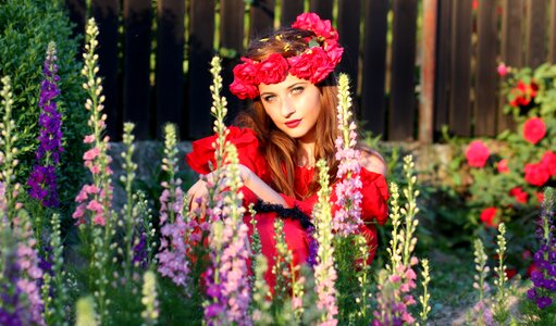 Roses red beauty