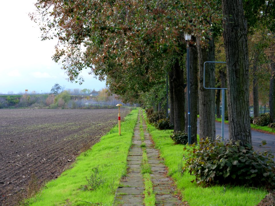 Alte Bahnhofstraße Großbeeren on 2019-11-05 11