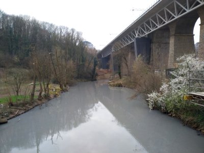 Alzette pollution event 18.02.2020 3