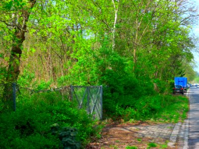 Am Bürgerpark (Berlin-Reinickendorf)