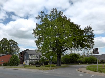 Altendorf Partie
