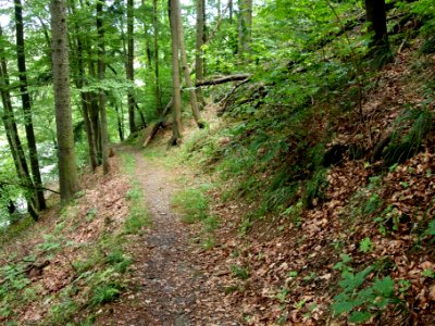 Altenbrak Oberer Philosophenweg (19)