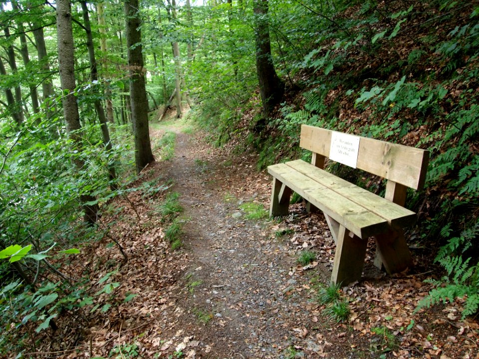 Altenbrak Oberer Philosophenweg (18)