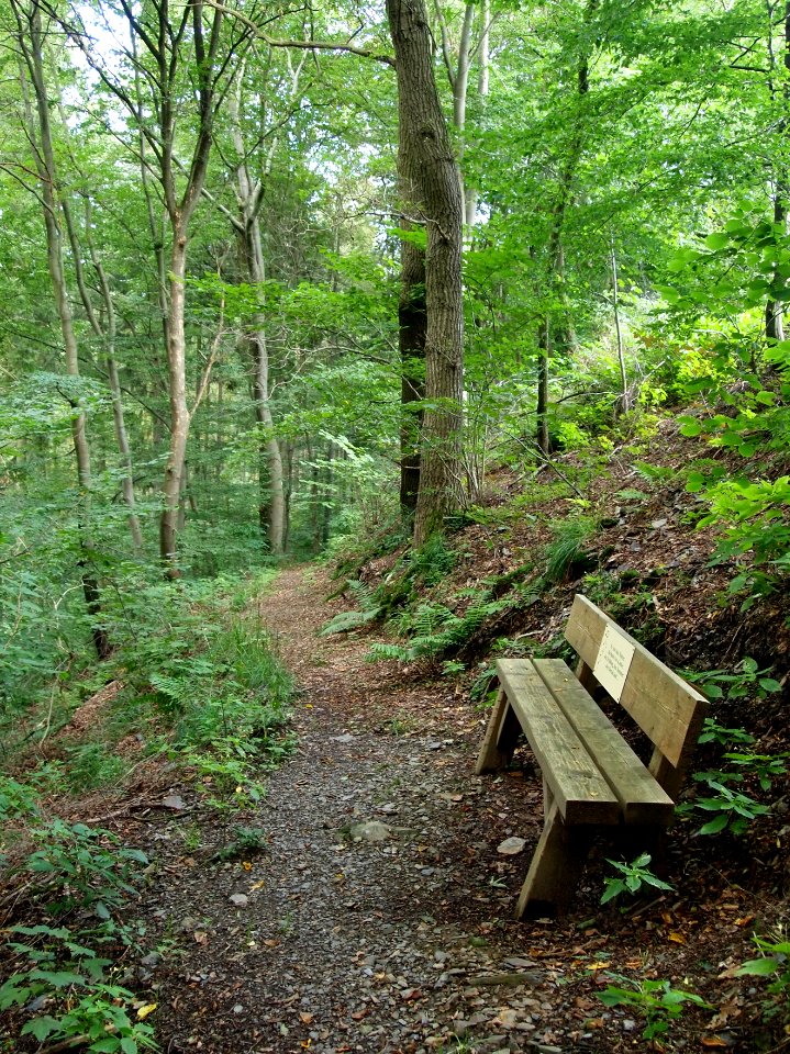 Altenbrak Oberer Philosophenweg (13)