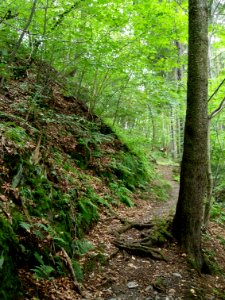 Altenbrak Oberer Philosophenweg (17)