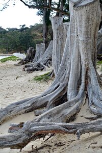 Stripped dead environment