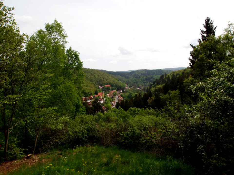 Altenbrak Wetzesteinklippe (16)