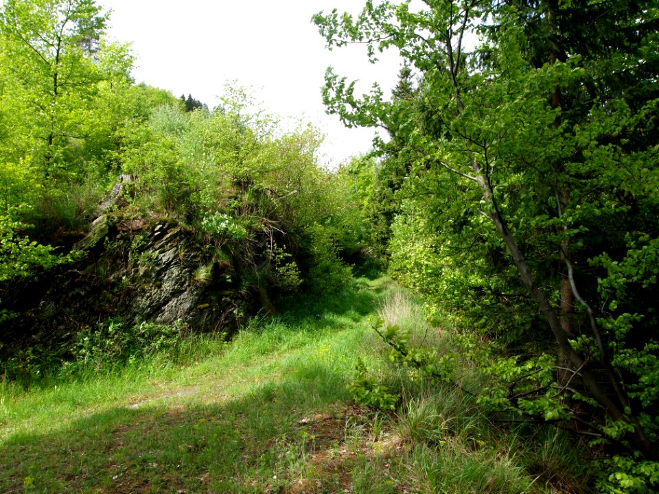 Altenbrak Wetzesteinklippe (6)
