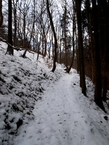 Altenbrak Oberer Philosophenweg (25)