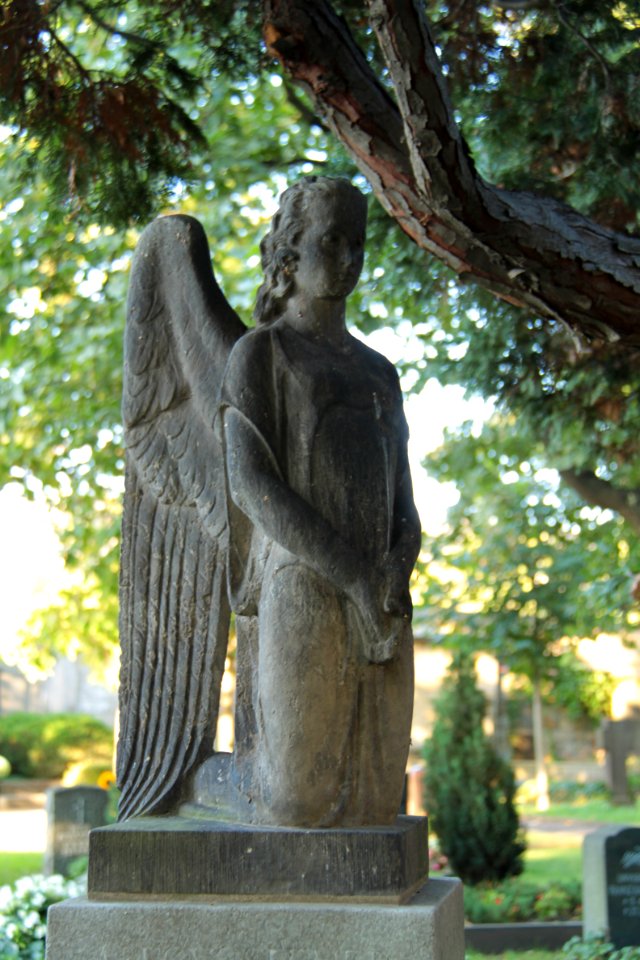 Alter katholischer Friedhof Dresden 2012-08-27-0014