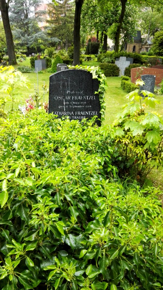 Alter Friedhof zwölfapostelgemeinde berlin - 8