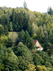 Altenbrak Waldbühne (8)