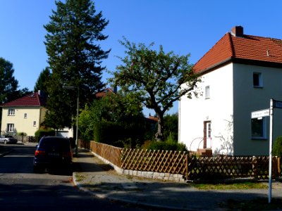 Altenburger Straße (Berlin-Lankwitz)