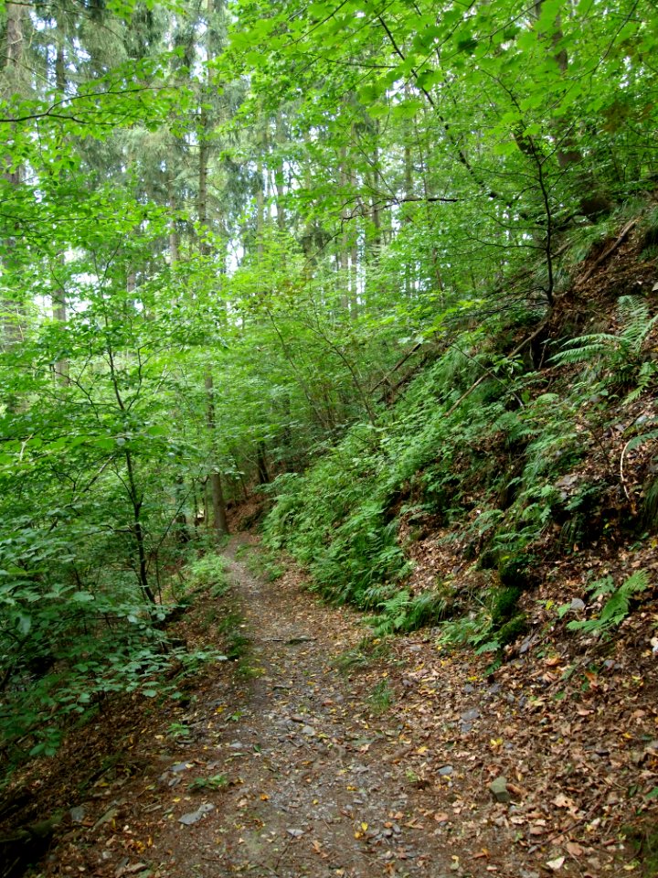 Altenbrak Oberer Philosophenweg (16)