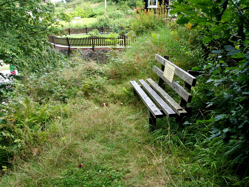Altenbrak Oberer Philosophenweg (21)