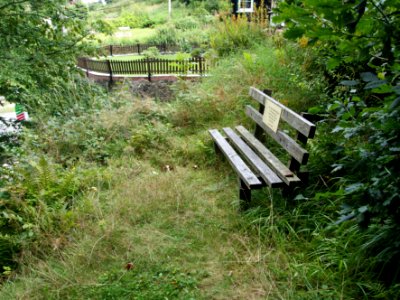Altenbrak Oberer Philosophenweg (21)