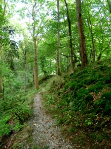 Altenbrak Oberer Philosophenweg (12)