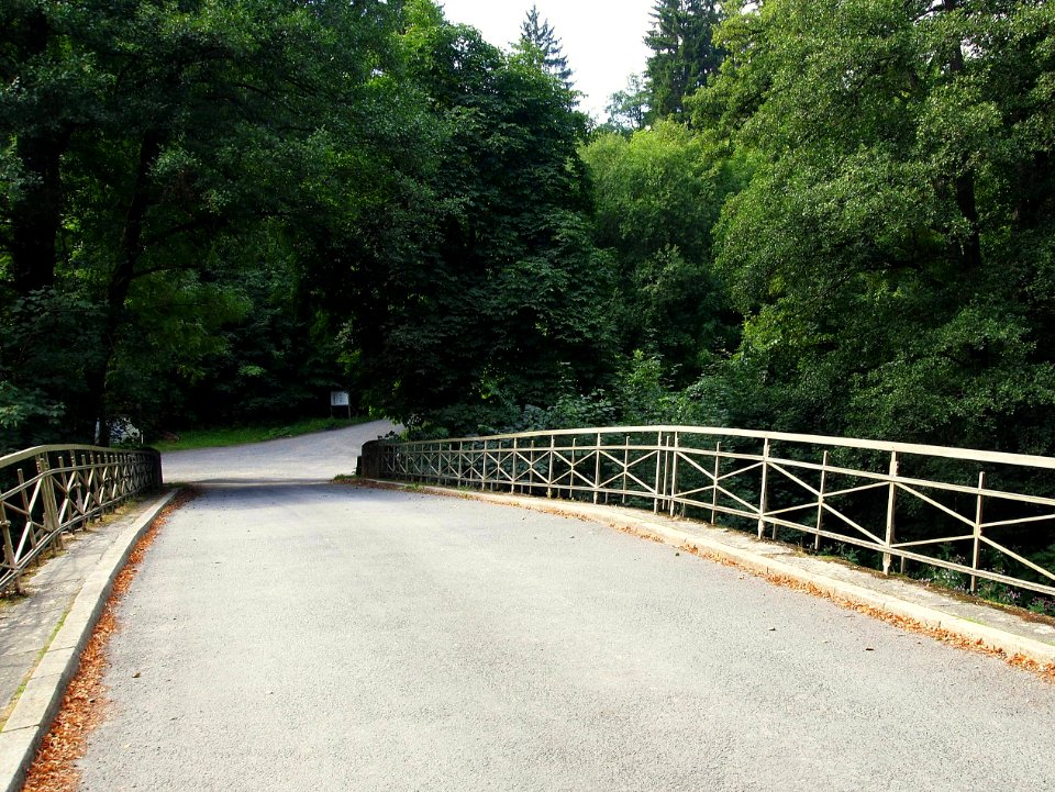 Altenbrak obere Bodebruecke (2)
