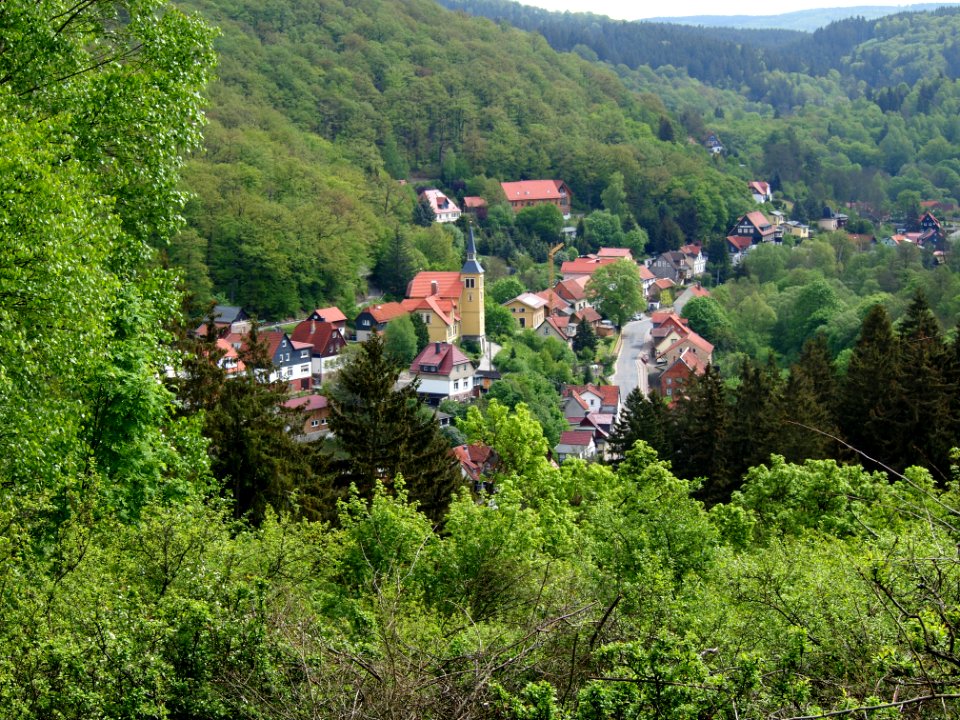 Altenbrak Wetzesteinklippe (17)