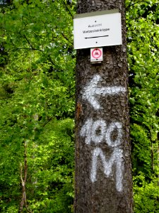 Altenbrak Wetzesteinklippe (5)