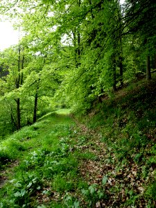 Altenbrak Wetzesteinklippe (4)