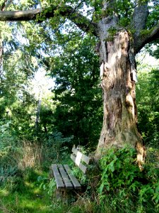 Altenbrak Oberer Philosophenweg (2)