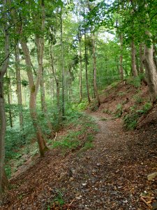 Altenbrak Oberer Philosophenweg (14)