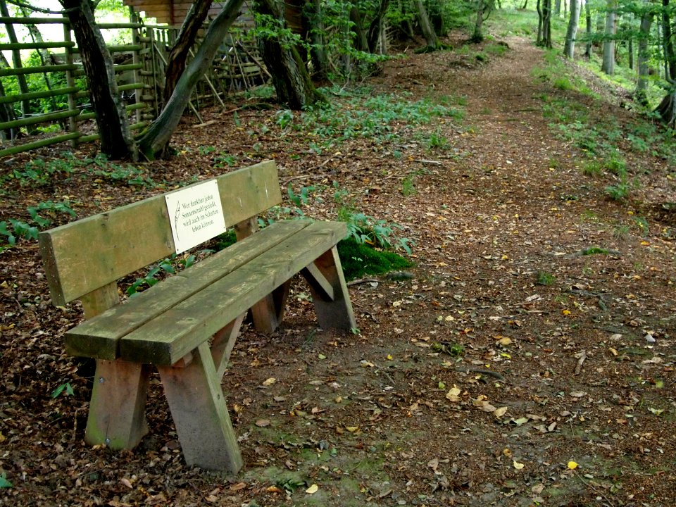Altenbrak Oberer Philosophenweg (10)