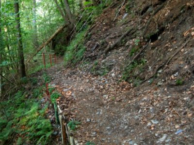 Altenbrak Unterer Philosophenweg (17)
