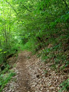 Altenbrak Unterer Philosophenweg (4)