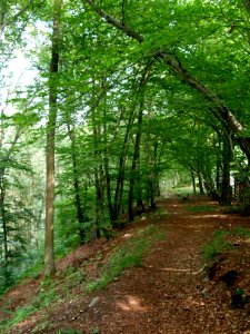 Altenbrak Oberer Philosophenweg (9)