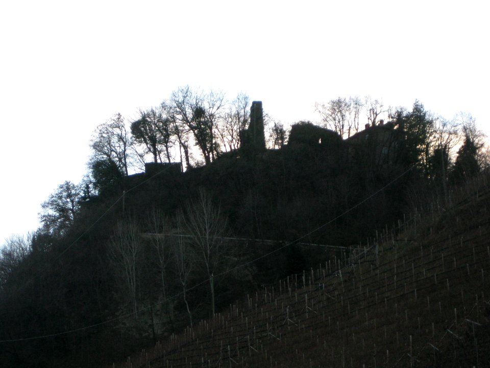 Altenburg Eppan 1